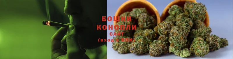 Бошки марихуана OG Kush  купить наркотик  Новоузенск 